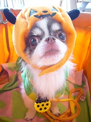 2011101909.jpg