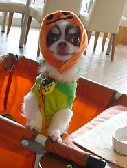 2011102000.jpg