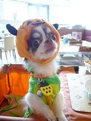 2011102002.jpg