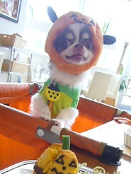 2011102003.jpg