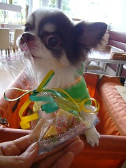 2011102006.jpg