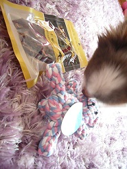 2011102102.jpg