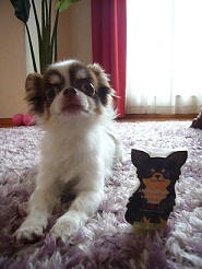 2011102103.jpg