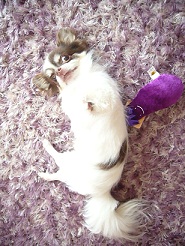 2011102104.jpg