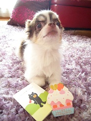 2011102105.jpg