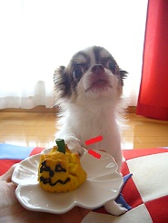 2011102106.jpg