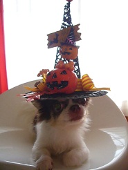 2011102202.jpg