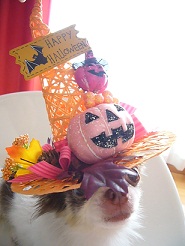 2011102203.jpg