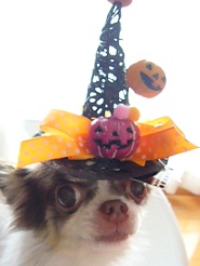 2011102204.jpg