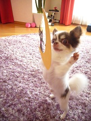 2011102207.jpg