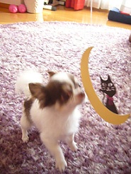 2011102209.jpg