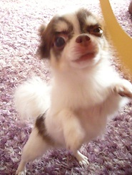 2011102211.jpg