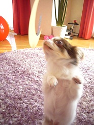 2011102212.jpg