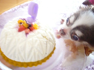 2011102301.jpg