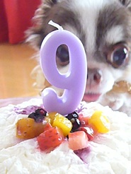 2011102304.jpg