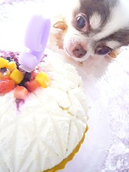 2011102305.jpg