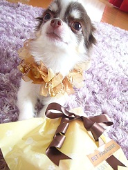 2011102307.jpg