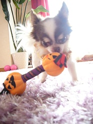 2011102308.jpg