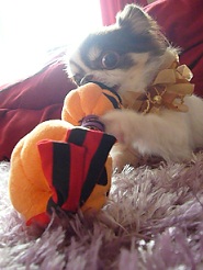 2011102309.jpg