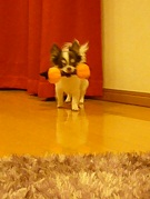 2011102311.jpg