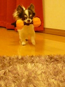 2011102312.jpg