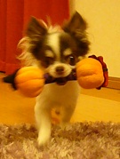 2011102313.jpg