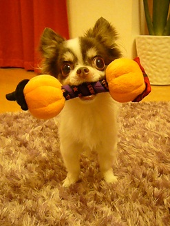 2011102314.jpg