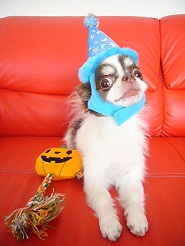 20111023l01.jpg