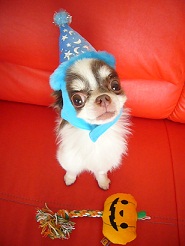 20111023l02.jpg