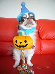 20111023m02.jpg