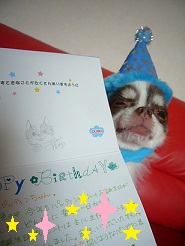 20111023m03.jpg