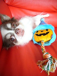 20111023m04.jpg