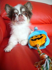 20111023m05.jpg