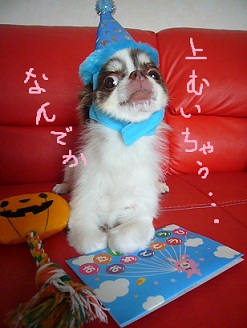 20111023m06.jpg