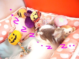 20111023m08.jpg