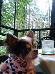 2011102501.jpg