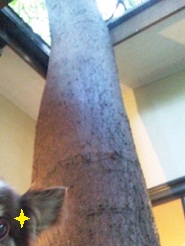 2011102503.jpg