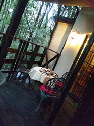 2011102504.jpg