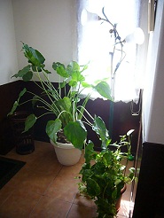 2011102506.jpg