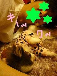 2011110102.jpg