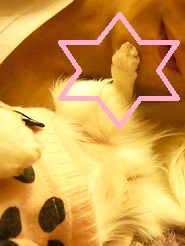 2011110103.jpg