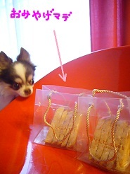 20130121230a.jpg