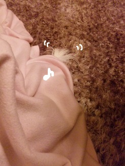 2013032001.jpg