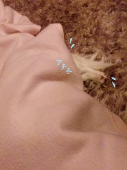 2013032002.jpg