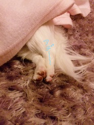 2013032003.jpg