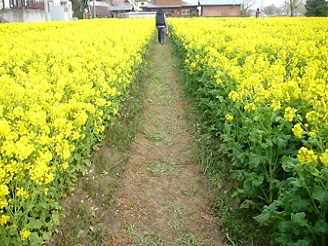 2013032401.jpg