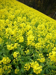 2013032402.jpg