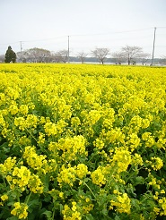 2013032404.jpg