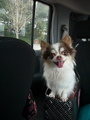 2013032505.jpg