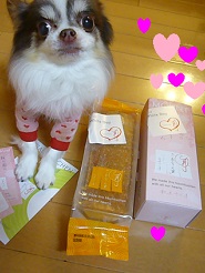 2013032508.jpg